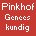Pinkhof: Geneeskundig woordenboek - Niederländisch 12. Auflage 2012